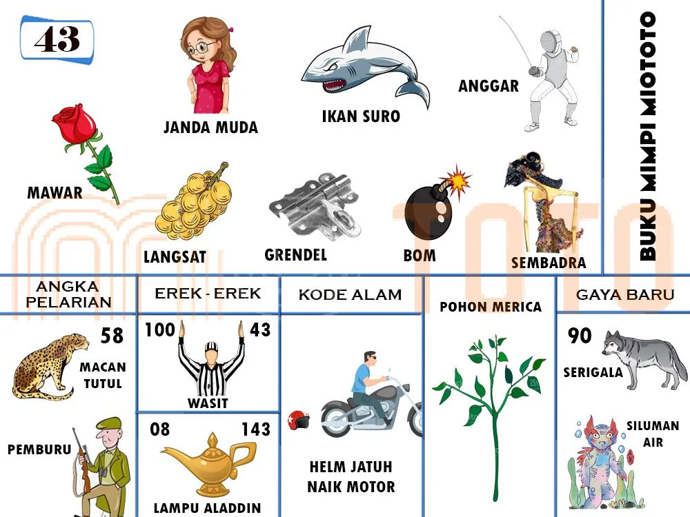 buku mimpi erek erek togel 43